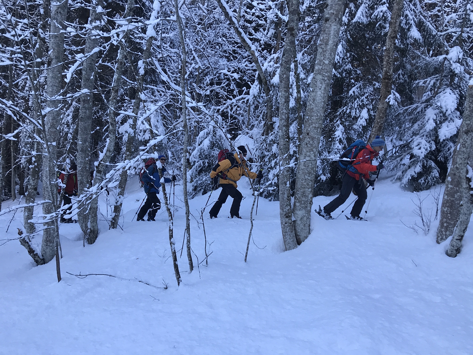 09_12. Feb 22_G Skitour Walighuerli (134).jpg